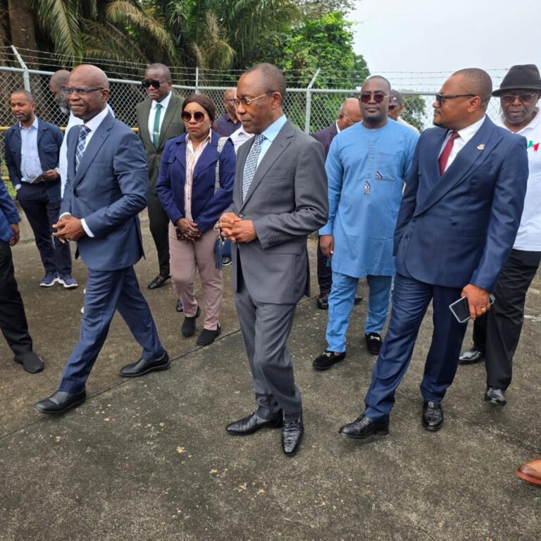 Le Cameroun et la Guinée équatoriale s&rsquo;accordent pour l&rsquo;exploitation d&rsquo;un champ gazier transfrontalier