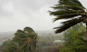 Mozambique : le cyclone Gezani a causé des ravages à Inhambane
