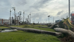Madagascar : 20 morts, déjà un lourd bilan suite au passage du cyclone Gezani sur la grande île mardi soir