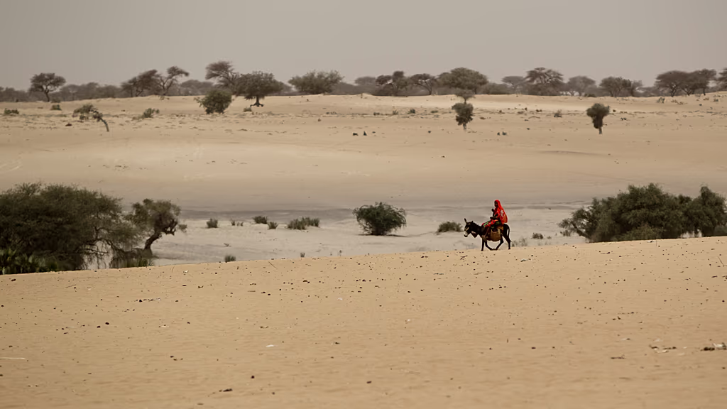 Tchad : mort du touriste français porté disparu dans l’est
