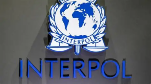 Vaste opération contre la cybercriminalité en Afrique : 651 arrestations selon Interpol