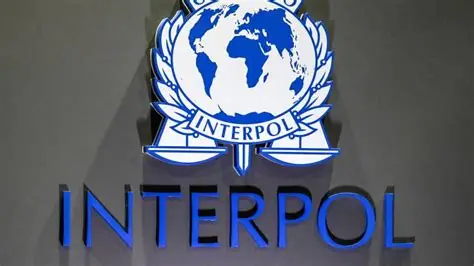 Vaste opération contre la cybercriminalité en Afrique : 651 arrestations selon Interpol