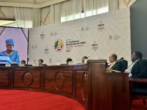 Cameroun : une conférence ministérielle de l’OMC en pleine tempête pour le commerce mondial