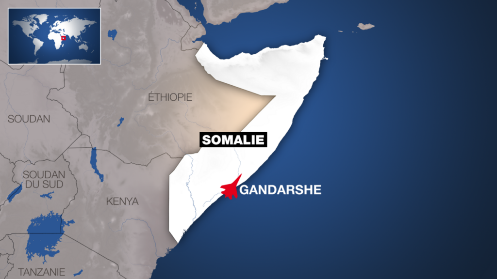 Somalie : frappes de l’AFRICOM contre l’EI