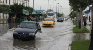 Tunisie : des pluies attendues jusqu’à la fin du mois de mars, selon l’expert Adel Hentati