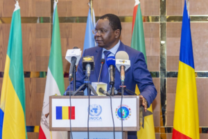 Tchad : le Pm interpelé au Sénat sur la cohésion sociale