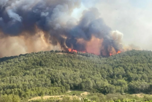 Le Maroc muscle sa riposte contre les feux de forêt : 150 millions de DH mobilisés pour l’été 2026