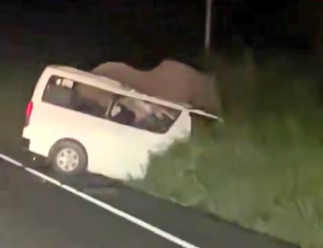 Ouganda : trois morts après une collision entre un minibus et un éléphant
