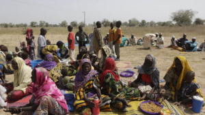Cameroun : deux jeunes bergers tués et un autre enlevé par Boko Haram à l&rsquo;Extrême-Nord