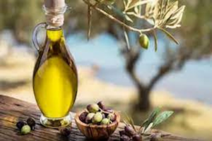 Tunisie : les exportations d&rsquo;huile d&rsquo;olive en progression de 69% au premier trimestre 2026