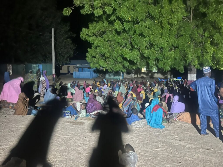 Nigéria : 360 otages libérés à Borno (armée)
