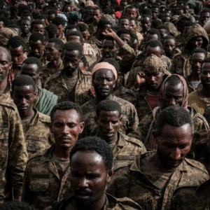 Éthiopie : reprise des combats entre l&rsquo;armée et les rebelles au Tigré