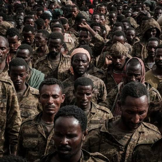 Éthiopie : reprise des combats entre l&rsquo;armée et les rebelles au Tigré